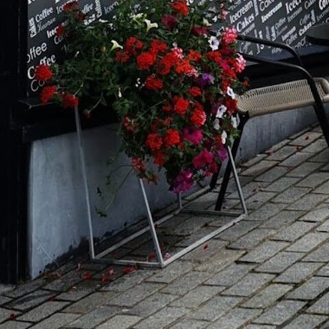 Window lettering reading Coffee, Cakes and Icecream above a stand of red and pink flowers